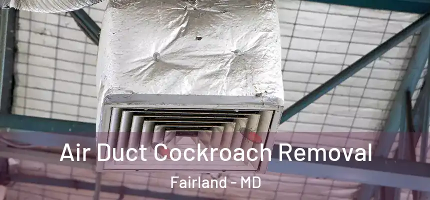  Air Duct Cockroach Removal Fairland - MD