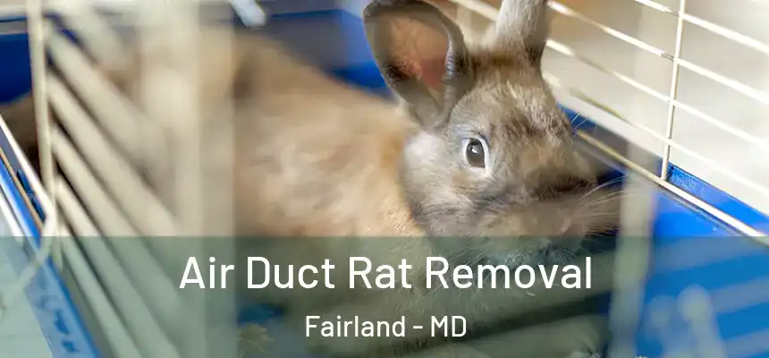 Air Duct Rat Removal Fairland - MD