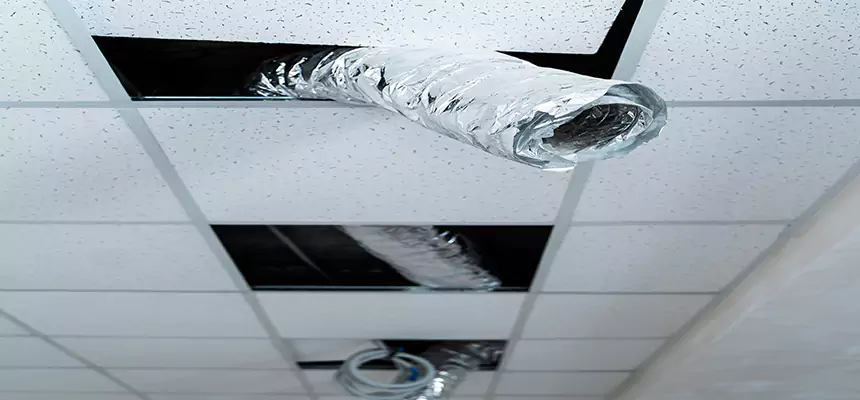 Affordable HVAC Sanitizing After Pest Removal in Fairland