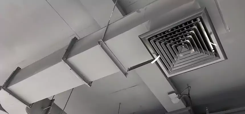 Restorative Allergy Relief Vent Cleaning – Coil, Blower & Housing Detail in Fairland