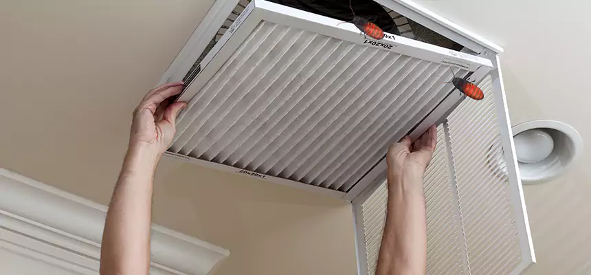 Our Insect Removal from Air Ducts Services in Fairland, MD