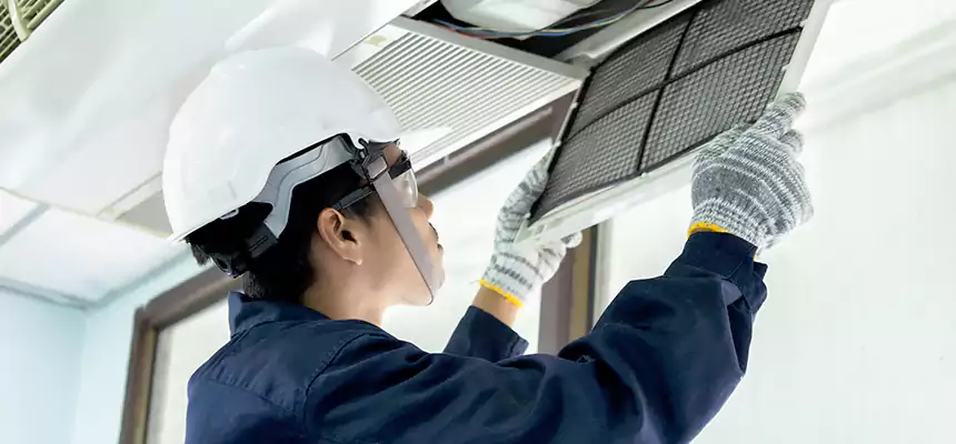 Our Mold & Mildew Removal from Air Ducts Services in Fairland, MD