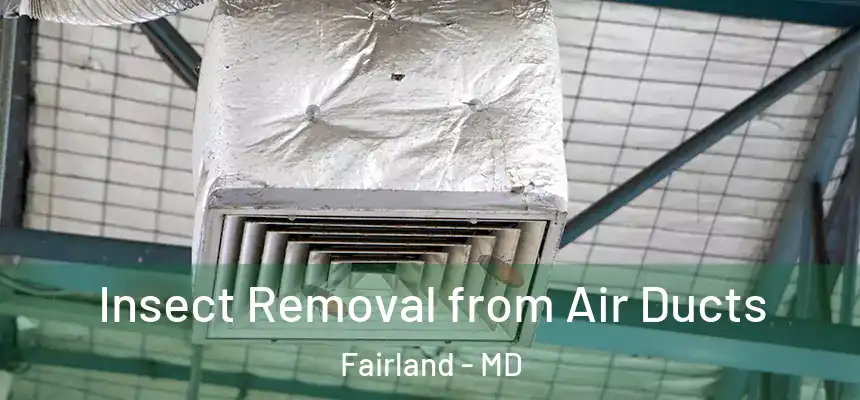 Insect Removal from Air Ducts Fairland - MD