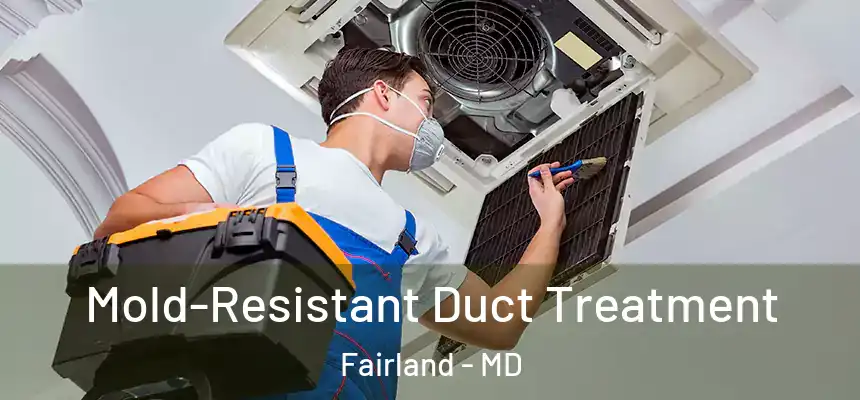 Mold-Resistant Duct Treatment Fairland - MD