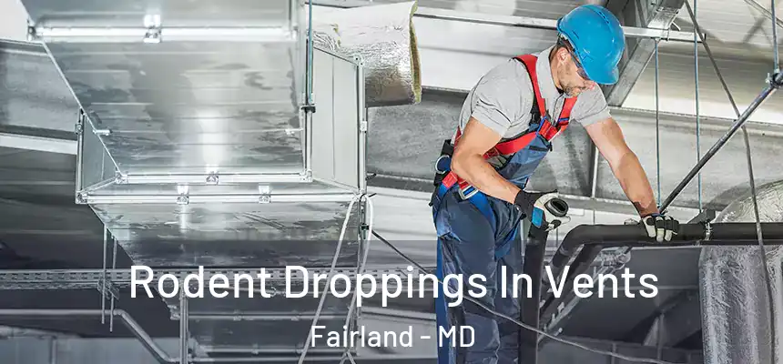  Rodent Droppings In Vents Fairland - MD