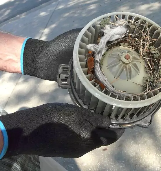 About Air Duct Mice Removal in Fairland, MD