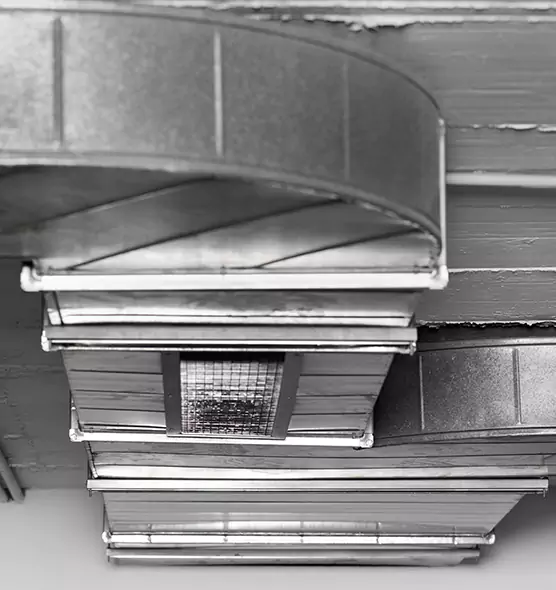 Professional Air Duct Pest Removal in Fairland, MD