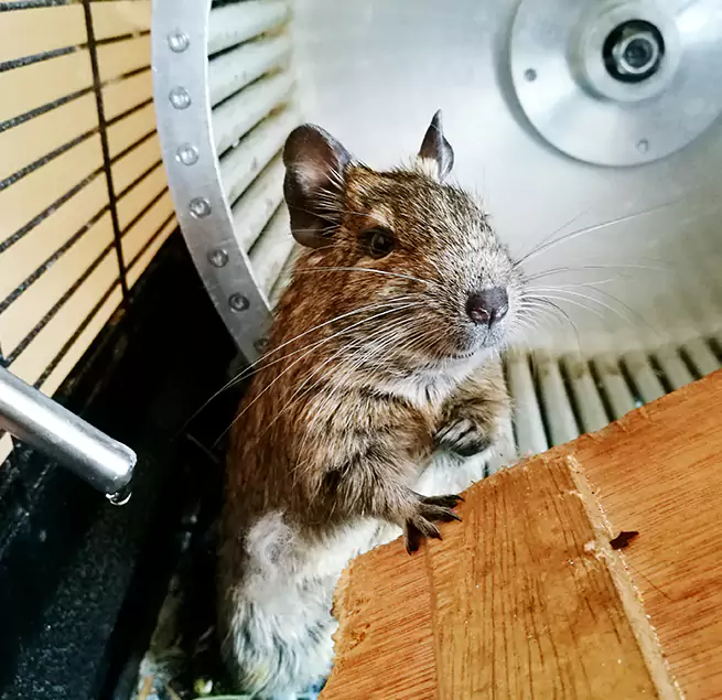 Why Homeowners & Businesses Trust Us Fairland, MD?